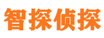 汝城侦探公司